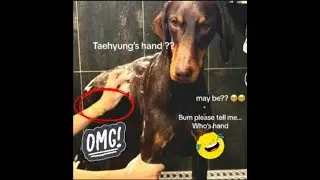 ONLY BAM KNOWS THE TRUTH⁉️🤣🫣 #bts #taehyung #jungkook  #taekook #fyp #trending #taekook_is_real