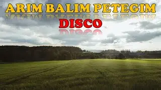 ARIM BALIM - DISCO - POPURRI - Группа Арзу (ШУ)(AHISKA MÜZIK)(Ахыска)