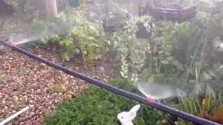 DIY Mini Sprinkler Orange 180 Watering in Garden Lawn Misting 7