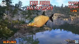 🌟Русская Рыбалка 4 (РР4)🌟оз. Куори🌟ГДЕ ЛОВИТЬ ЛЕЩА НА КУОРИ🌟03.04.2023  