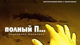 Северная и южная Карелия. Онега и Пяозеро. Щука, кумжа. Skoda Octavia 15.1
