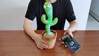 Dancing Cactus Plush Toy Review 2021 - Talking, Singing and Dancing