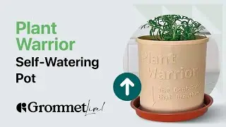 This Self Watering Pot From Plant Warrior Is Exactly What Every Plant Lover Needs For Their Home