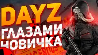 DayZ STALKER RP - ГЛАЗАМИ НОВИЧКА В 2024 ГОДУ