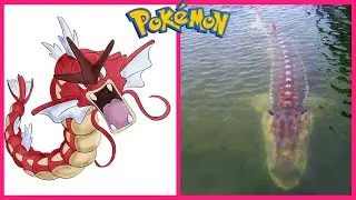 Pokemon IN REAL LIFE 💥 All Characters 👉