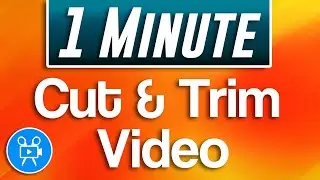 How to Cut and Trim Video | Movavi Video Editor Plus