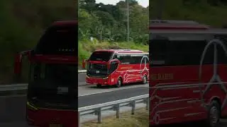 Gantengnya Bus Gunung Harta dengan Chassis Mercedes-Benz OH 1626 L #busmania #busindonesia #bus