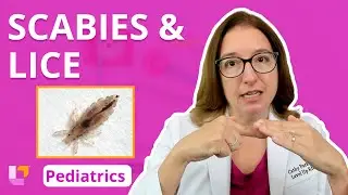 Scabies & Lice: Alterations in Health - Pediatric Nursing, Integumentary System | @LevelUpRN