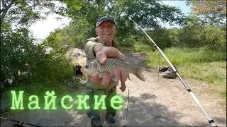 Рыбалка на ДОНКУ - Майские Караси: Как Мы Поймали Свой Весенний Улов 🐠🌞