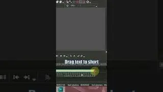 How to add text to the video in VSDC | 