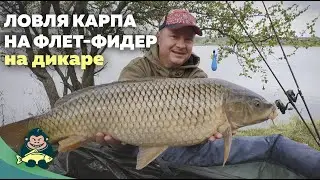 Ловля карпа на флет-фидер на дикаре. Обзор Carp Pro Flapper, Brain Apex Double