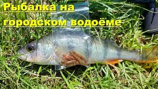 Рыбалка на городском водоеме. Рыбалка в городе