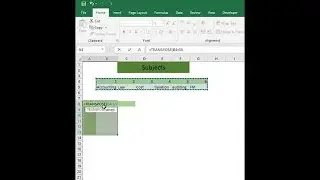 ms excel row and column | transpose in excel |  excel tutorial by theCAtalks