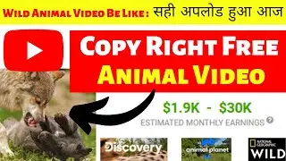 Earn 2000$ A Month Uploading Wild Animals Video on YouTube - Copy Paste Animal Video on YouTube