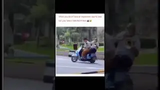 Funny videos from Instagram pt 1 #shorts #funny #trynottolaugh #memes