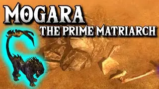 Mogara The Prime Matriarch | Grim Dawn Boss Kill