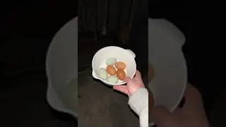 Eggs & BMWs!
