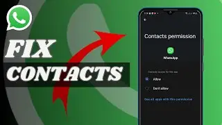 How To Fix Contacts Not Showing On WhatsApp