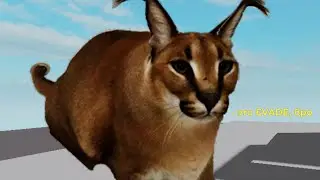Как сделать свой EVADE(тутор по Roblox Studio)
