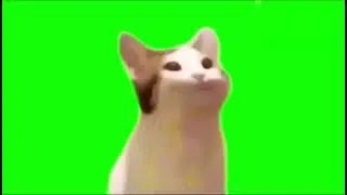 Pop cat green screen |POP CAT 🐈