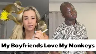 My Monkey’s Don’t Affect My Dating Life