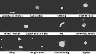 12 principles of animation: essential for every Motion Designer I Animation Studio