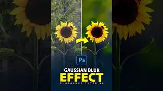 Photoshop Tutorial: Create Stunning Gaussian Blur Effects!