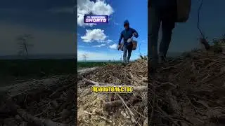 Посадил 23,000 деревьев за день 🌳😱