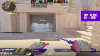 s1mple stream 2024 - 05 - 19