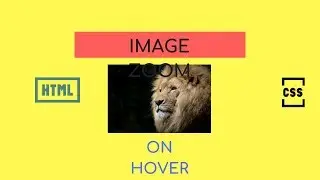 HTML CSS Tutorial | Image Zoom On Hover