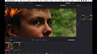 Setting Davinci Resolve defaultNode structure