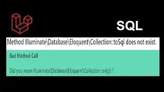 Laravel Method Illuminate\Database\Eloquent\Collection::toSql does not exist. error