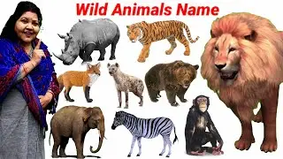 Wild Animals Video For Education | Zebra, Gorilla, Crocodile, Lion | Wild Animals name with Spelling