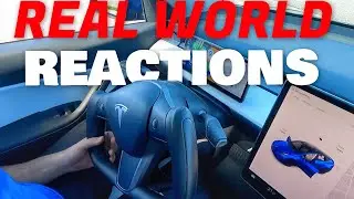 REAL WORLD Reactions to the Tesla Model Y Yoke