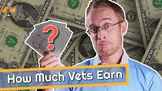 How Much Do Vets Make (are we all rich?)