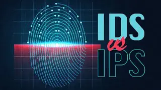 Explained - Intrusion Prevention Systems (IPS) and Intrusion Detection Systems (IDS)