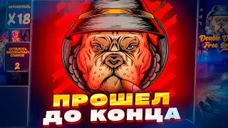 ПРОШЕЛ ДО КОНЦА НОВЫЙ СЛОТ THE BIG DAWGS 💥 ПОЙМАЛ Х1000 ЗАНОСЫ НЕДЕЛИ КУПИЛ БОНУСКУ ЗА 100.000