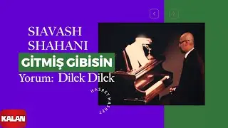 Siavash Shahani feat. Dilek Dilek - Gitmiş Gibisin I Hasret © 2016 Kalan Müzik