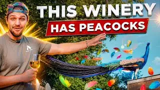 California's Most Secret Winery with Peacocks!