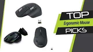 The Best Ergonomic Mouse in 2022 [Top 3 Picks]