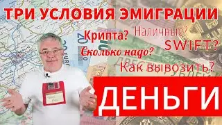 Деньги для эмиграции - сколько хватит, как вывезти и в какой валюте. Нал, крипта, банки?