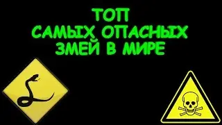 ТОП САМЫХ ОПАСНЫХ ЗМЕЙ В МИРЕ