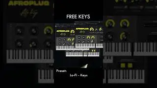 Free Keys Plugin by Afroplug (Afro Keys Lite)