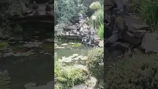 Сказочный сад.Водоем.