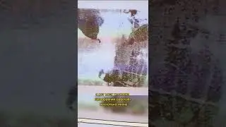 тест на шизофрению