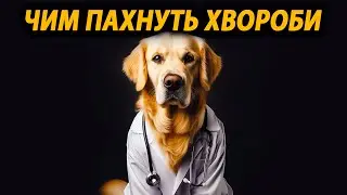 Тварини лікарі. Нюх Проти Хвороб