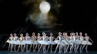 Swan Lake – Act II corps de ballet (The Royal Ballet)