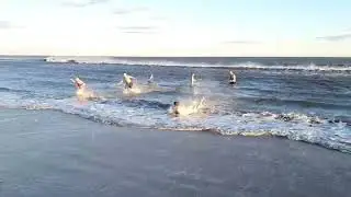 Alex's First Polar Bear Plunge, January 1st 2025, Ocean City NJ