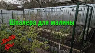 Шпалера (стойка) для малины