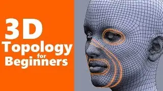 3D Topology Explained for the Beginner